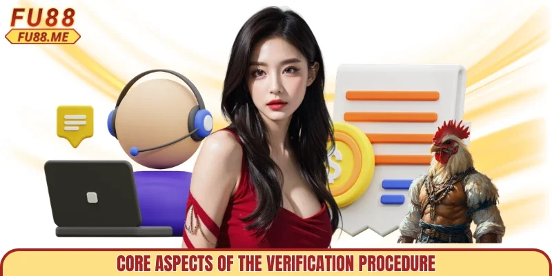Core aspects of the verification procedure