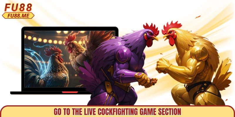Go to the live cockfighting game section