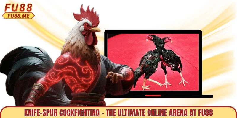 Knife-Spur Cockfighting – The Ultimate Online Arena At FU88