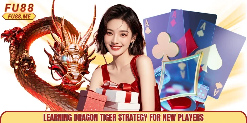 Learning dragon tiger strategy for new players