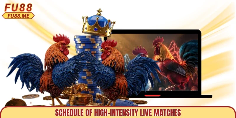 Schedule of high-intensity live matches