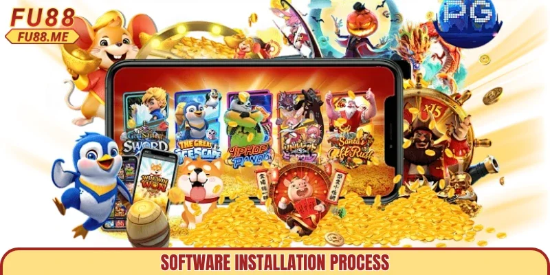 Software installation process